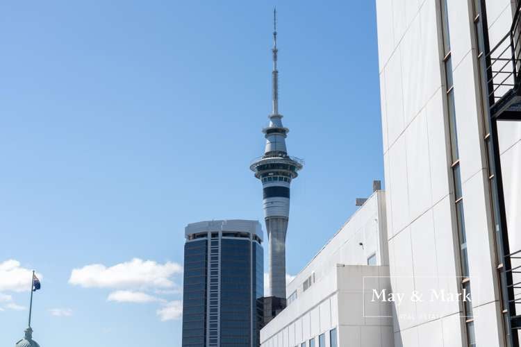 8 Airedale Street Auckland Central_11