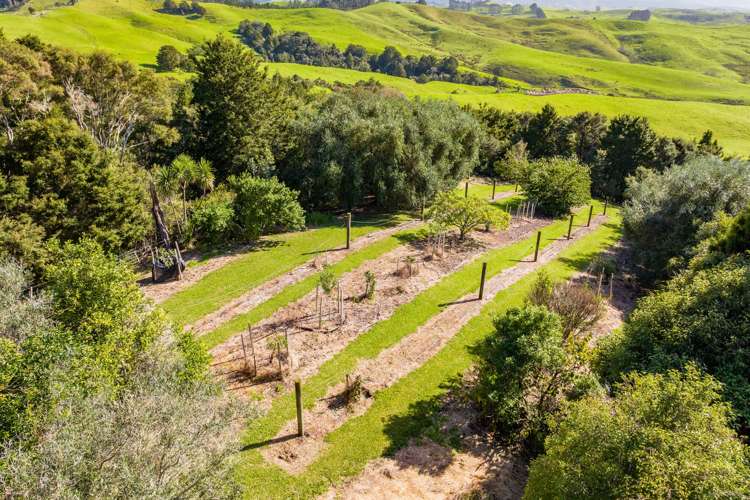 429 Glenmohr Road Waipu_24