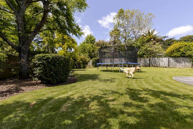 87 Waimea Street Frankleigh Park_41