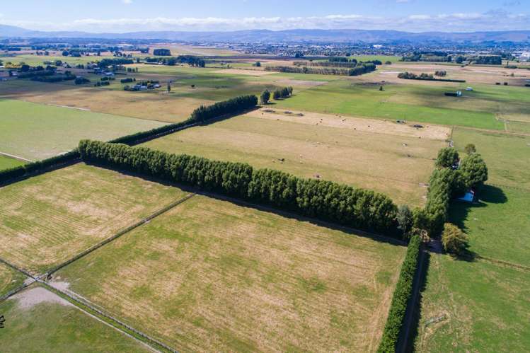 571 Kairanga Bunnythorpe Road Milson_2