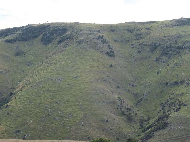 831 Chorlton Road Little Akaloa_31