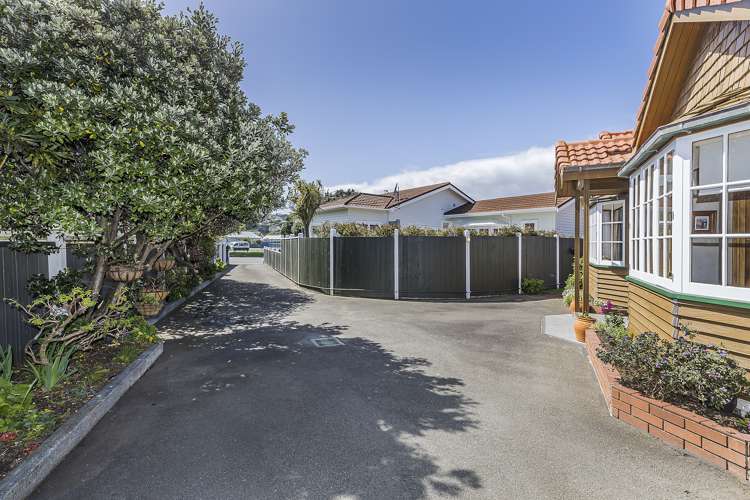 46a Devonshire Road Miramar_16