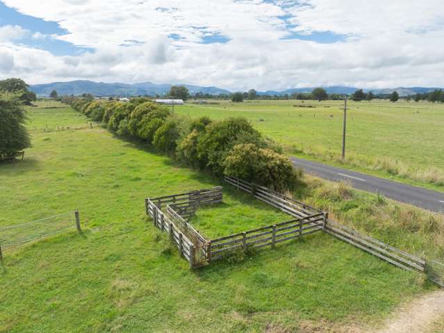 Wani Road Paeroa_4