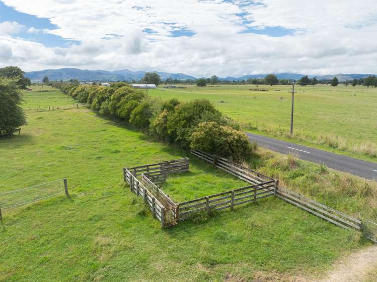 Wani Road Paeroa_4