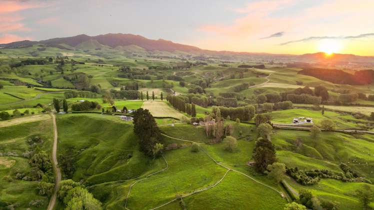 278 Stokes Road Maungatautari_34