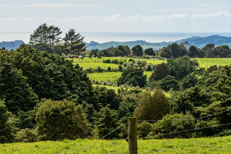 75 Kohinui Road Parua Bay_31