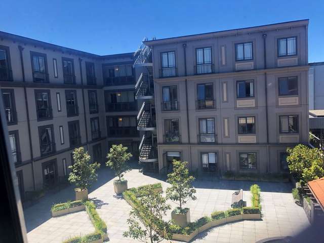 184 Symonds Street Eden Terrace_1