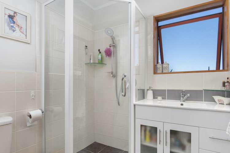 473 Old Highway Whakamarama_18