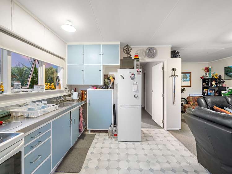 313 Youngson Road Whakamarama_16
