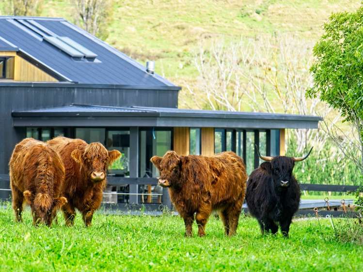 276 Gaddums Hill Road Outer Kaiti_19