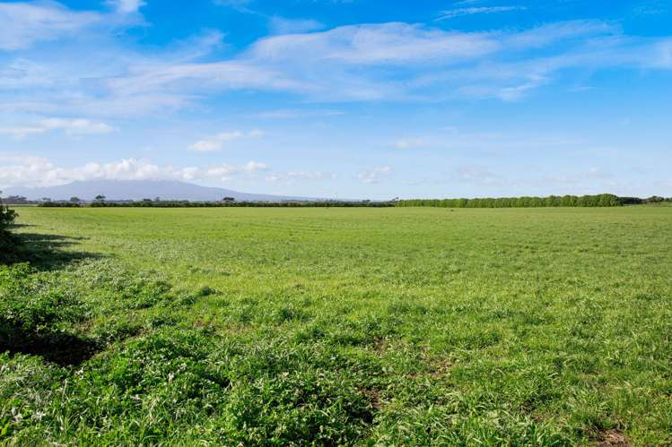 2585 South Road Otakeho_13