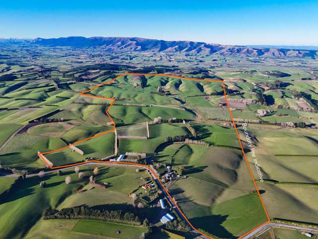 Immaculate West Otago Property