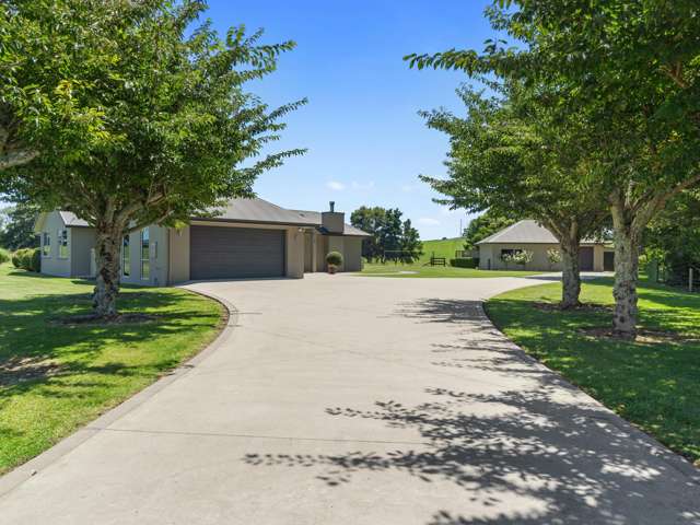 298 Frontier Road Te Awamutu_4