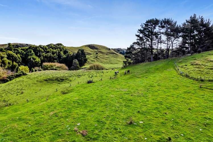 Whakamara Road Hawera_16