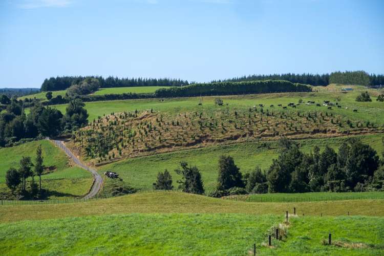 530 Soldiers Road Lower Kaimai_6