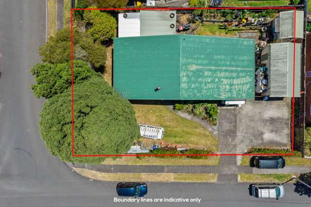 3 Swallow Drive Manurewa_2