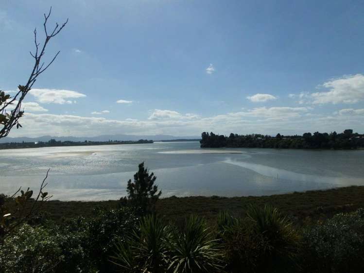 71 Princess Road Bellevue_12