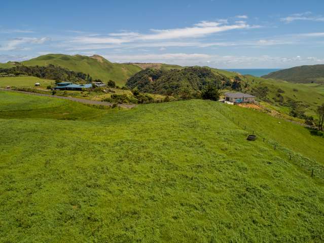 360 Gleeson Road Waiuku_2