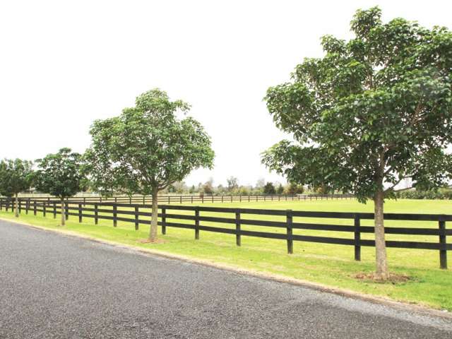 2 Puriri Park Lane Kerikeri Surrounds_1