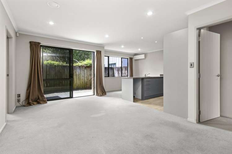 127c Massey Street Frankton_2