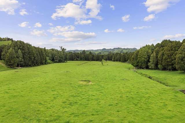 878 Mokauiti Road Aria_1