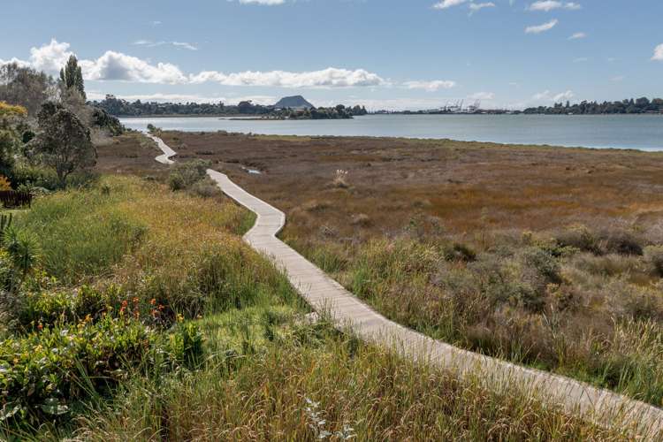 77 Churchill Road Judea_32