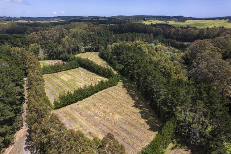 501 Paparore Road Pukenui_26