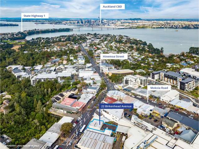 22 Birkenhead Avenue Birkenhead_2