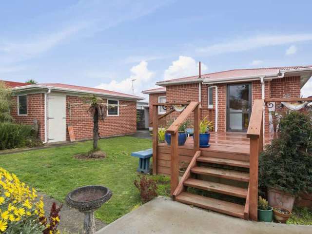 46 Rugby Street Levin_1