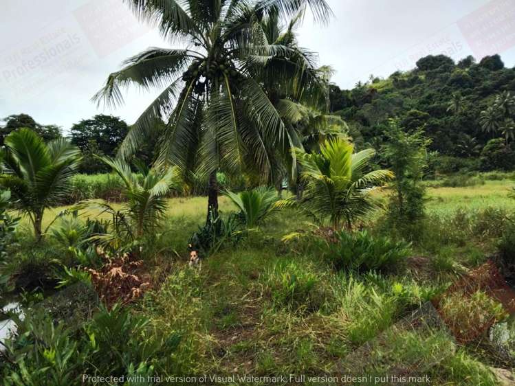 Address withheld Labasa_2