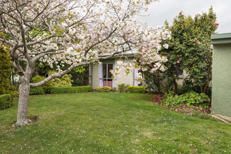 42 John F Kennedy Drive Milson_19