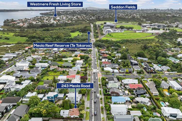 243 Meola Road Pt Chevalier_9