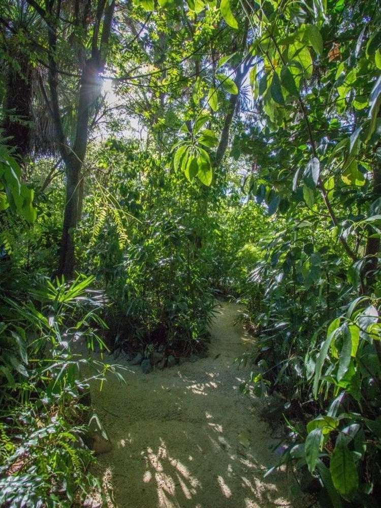 55a Manuka Street Masterton_17