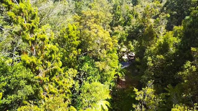 State Highway 67 Waimangaroa_1