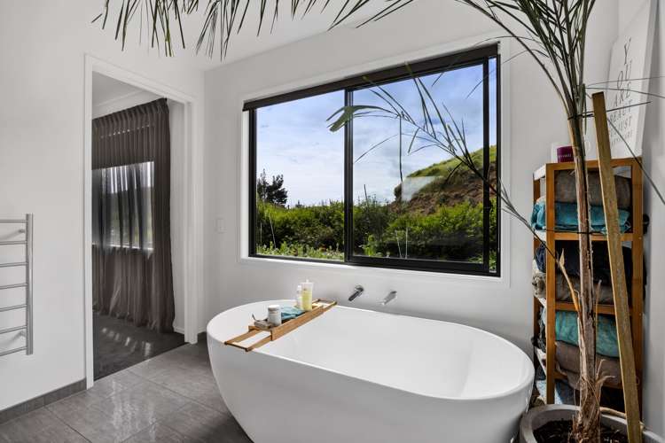 511 Plymouth Road Koru_25