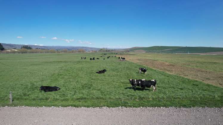 51 Saint Bathans Loop Road Becks_8