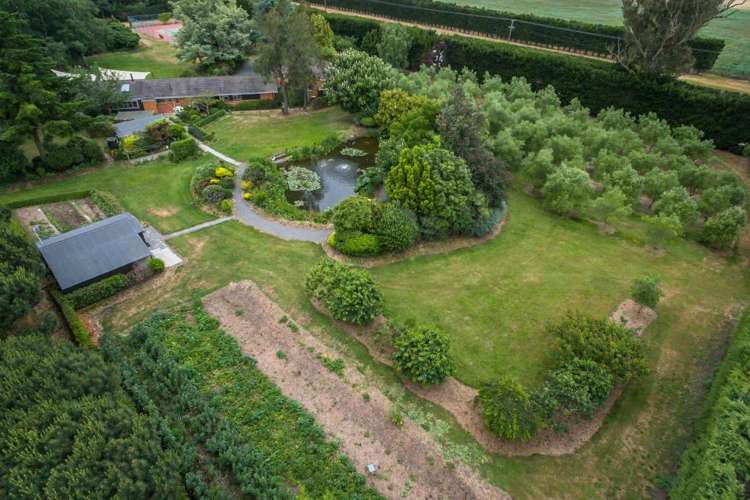 439 Dawsons Road Templeton_30