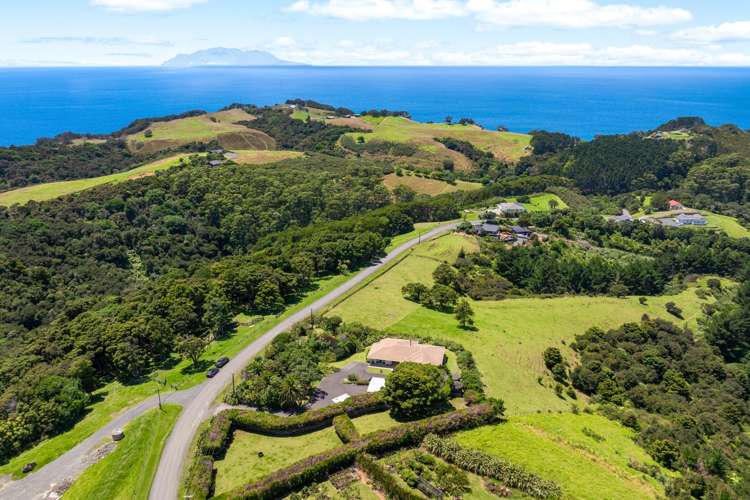 172 Cape Rodney Road Leigh_17