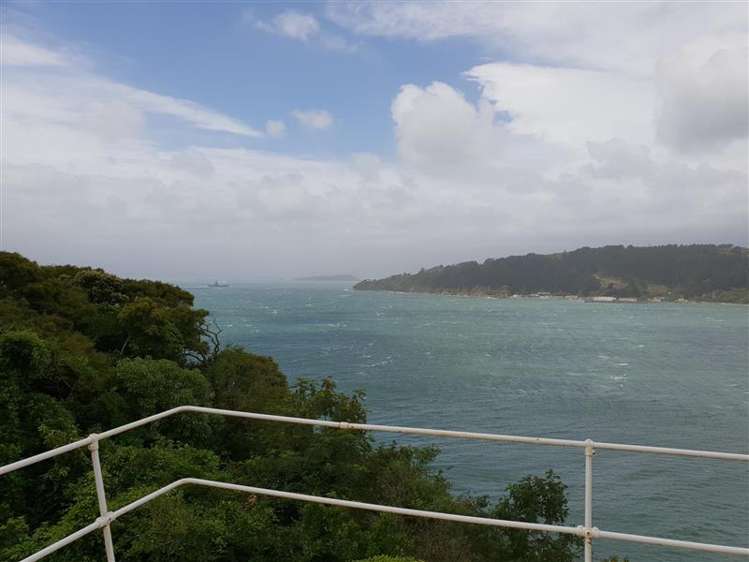 11 Te Anau Avenue Hataitai_5