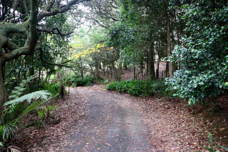 194b Cameron Town Road Pukekohe_5