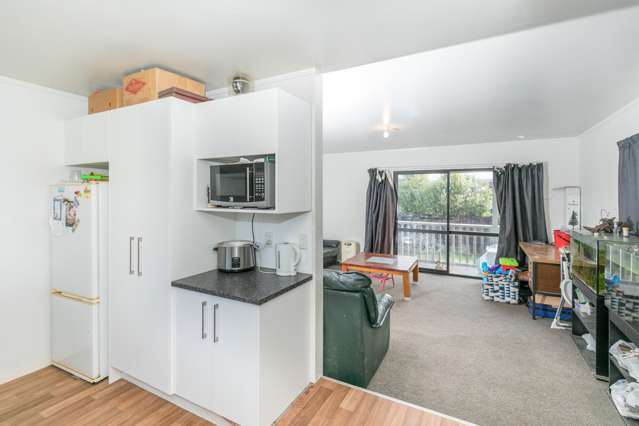 375b Kahikatea Drive Dinsdale_3