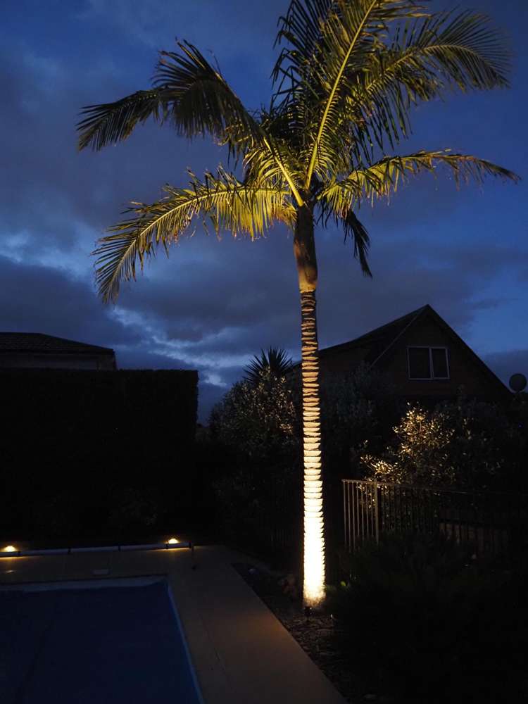 96 Hepburn Road Glendene_26