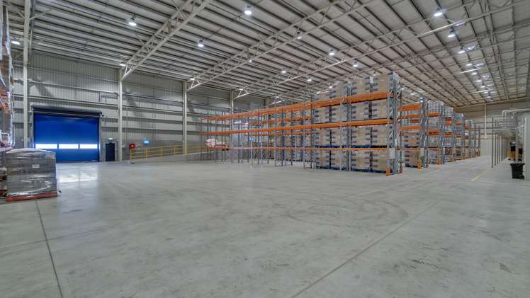 9 Ashford Avenue Ashburton_6