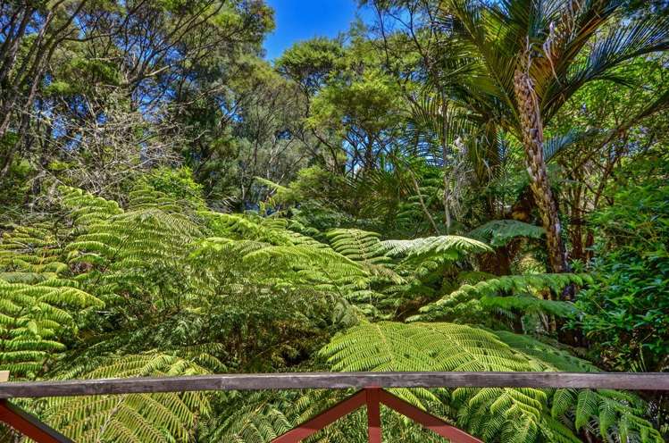 138 Konini Road Titirangi_29