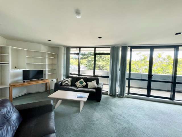 Parnell Rd spacious apartment