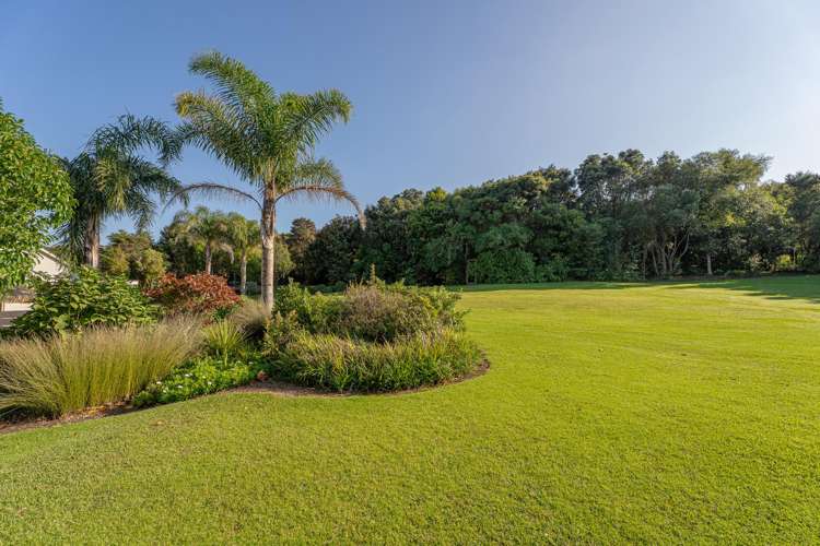 995F Purangi Road Cooks Beach_27