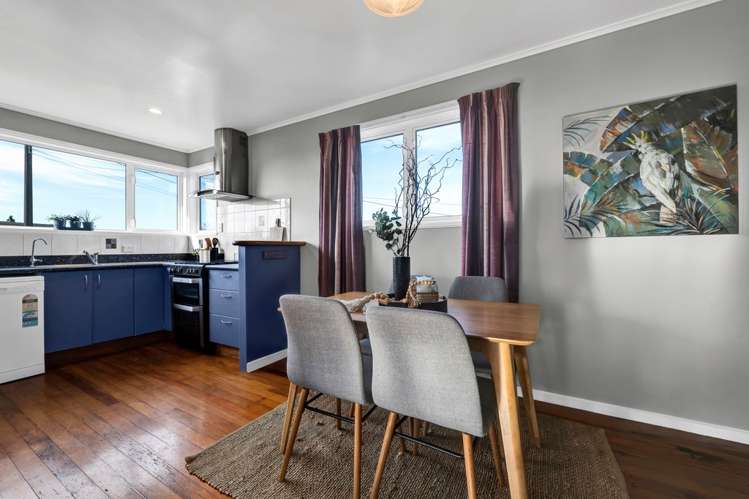 18 Drake Street Vogeltown_9