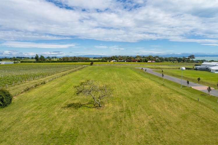 Te Awanga Terraces Te Awanga_8