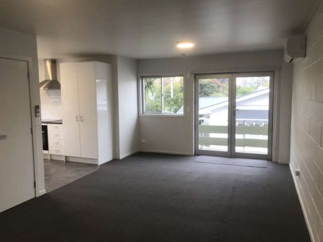 Spacious 2 bedroom unit - Fully renovated
