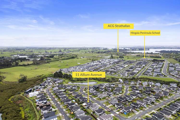 11 Allium Avenue Karaka_23